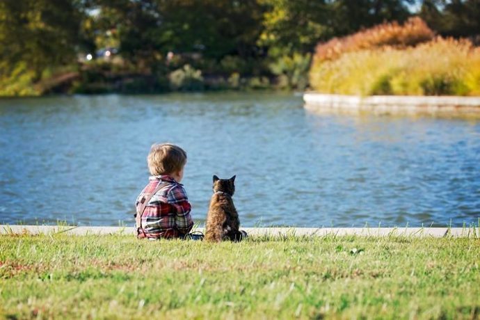 25-imagenes-de-gatos-que-hacen-cosas-muy-extranas {keyword}