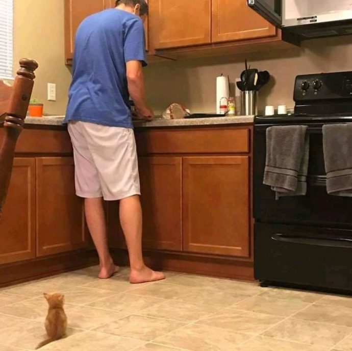 25-imagenes-de-gatos-que-hacen-cosas-muy-extranas {keyword}