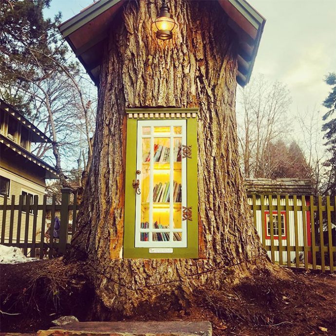 una-mujer-convierte-un-arbol-de-110-anos-en-una-biblioteca-magica-para-sus-vecinos {keyword}