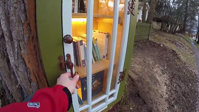 una-mujer-convierte-un-arbol-de-110-anos-en-una-biblioteca-magica-para-sus-vecinos {keyword}
