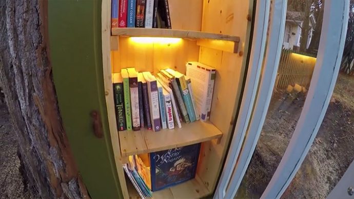 una-mujer-convierte-un-arbol-de-110-anos-en-una-biblioteca-magica-para-sus-vecinos {keyword}