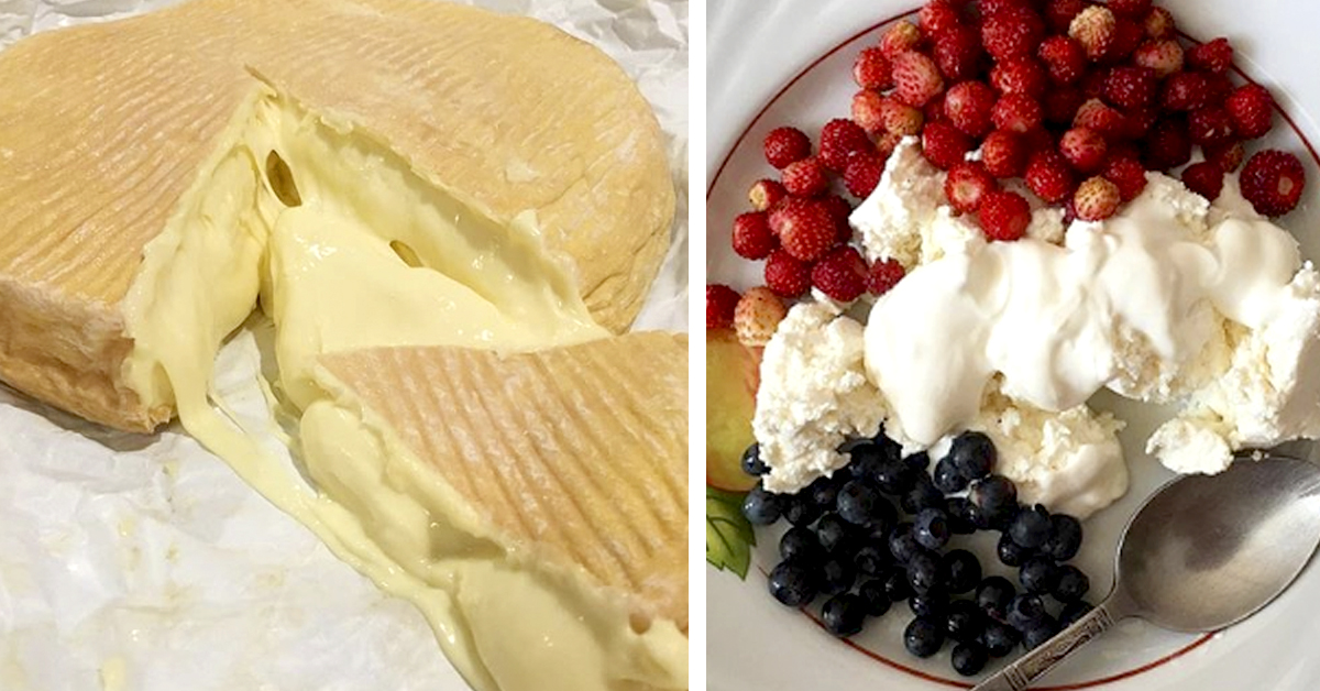 Los 5 Quesos que más engordan frente a los 5 que hay que tomar para